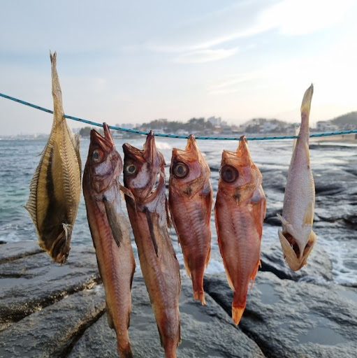 속초사이버장터에서 선택하는 반건조생선의 풍부한 맛